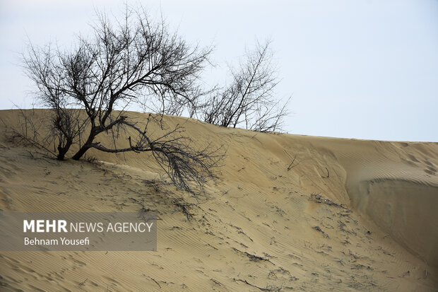 Eye-catching nature of Darak village in SE Iran
