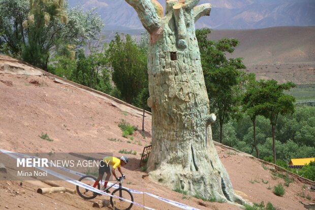 مسابقات دوچرخه سوای کوهستان