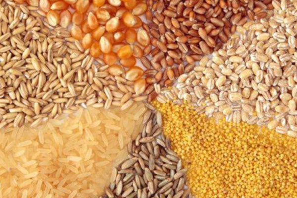 بلاتکلیفی قیمت کالاهای اساسی / الزام شناسنامه برای باغات و محصولات