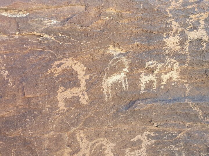 300 هزار بوم سنگی در گالری طبیعت / حفاری غیرمجاز برای کشف هیچ!