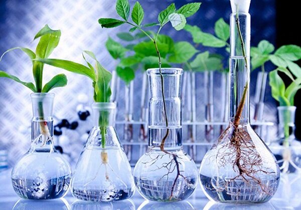 همایش آینده پژوهی در علوم و فناوریهای زیستی برگزار می شود