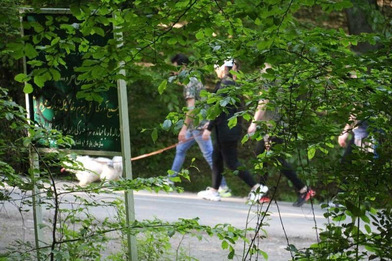 النگدره در چنگ پارادوکس فرهنگ و طبیعت/ هرکسی فریاد خودش را می زند