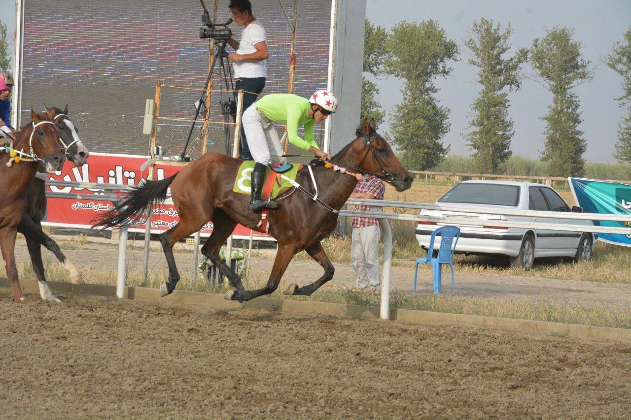 جشنواره «سواره اسب های اصیل ایرانی» در سرعین برگزار شد