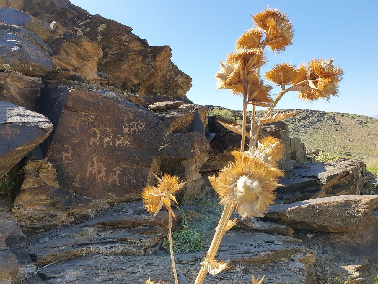 300 هزار بوم سنگی در گالری طبیعت / حفاری غیرمجاز برای کشف هیچ! 5