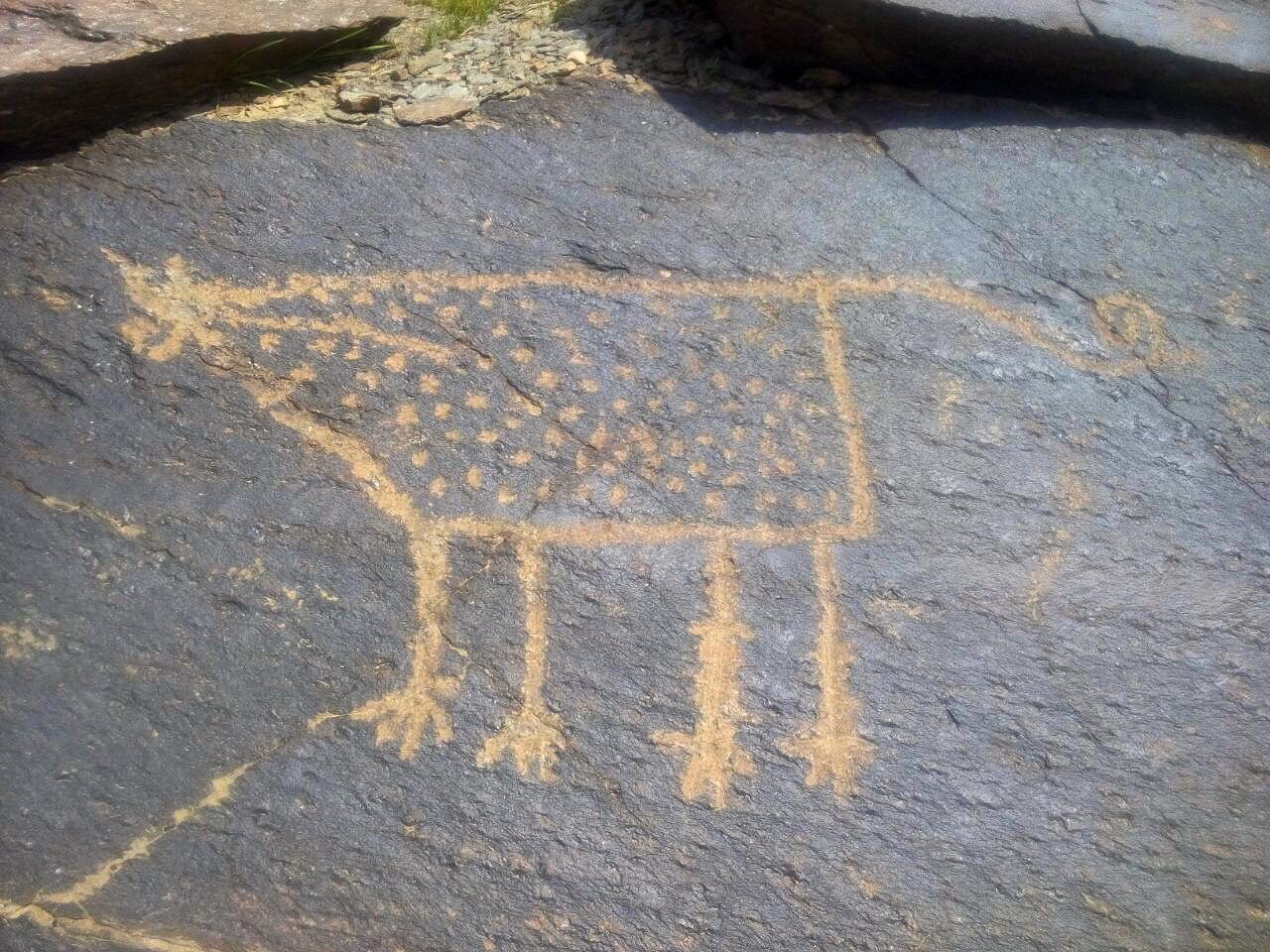 300 هزار بوم سنگی در گالری طبیعت / حفاری غیرمجاز برای کشف هیچ! 4