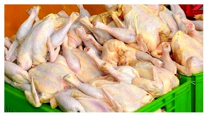 تولید ماهیانه ۲۵۰ هزار تن گوشت مرغ در کشور