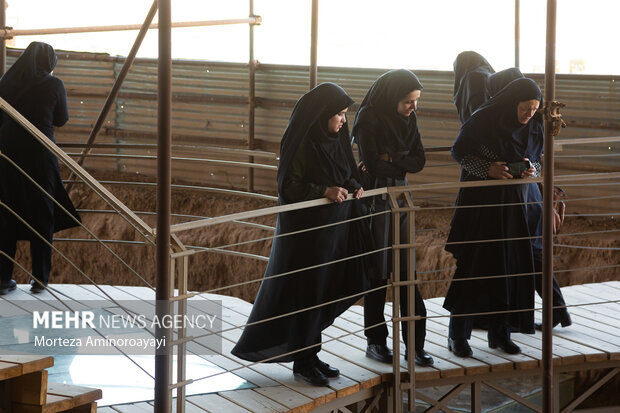 محوطه باستانی شادیاخ