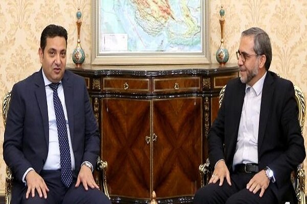توسعه همکاری‌های ایران و مصر به سود منطقه و اسلام است