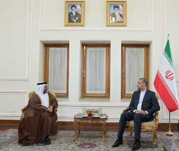 روابط دو کشور ایران و امارات در دو سطح دولتی و بخش خصوصی توسعه می‌یابد
