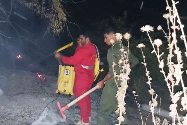 مهار آتش سوزی عمدی در حاشیه بیشه زارهای «زاویه مشعلی» در دزفول