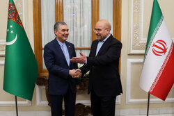 Iranian parl. speaker meets Turkmenistan's Berdimuhamedov