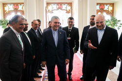 دیدار رهبر ملی ترکمنستان با رئیس مجلس شورای اسلامی