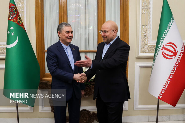 Iranian parl. speaker meets Turkmenistan's Berdimuhamedov
