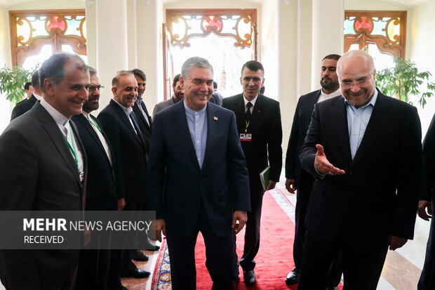 دیدار رهبر ملی ترکمنستان با رئیس مجلس شورای اسلامی 10