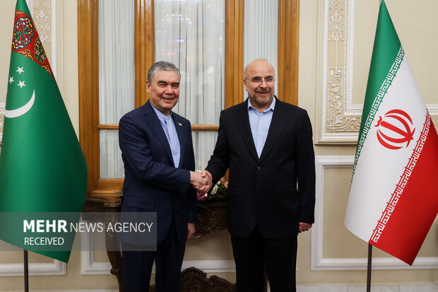 Iranian parl. speaker meets Turkmenistan's Berdimuhamedov
