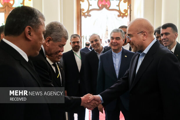 Iranian parl. speaker meets Turkmenistan's Berdimuhamedov
