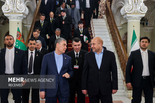 Iranian parl. speaker meets Turkmenistan's Berdimuhamedov
