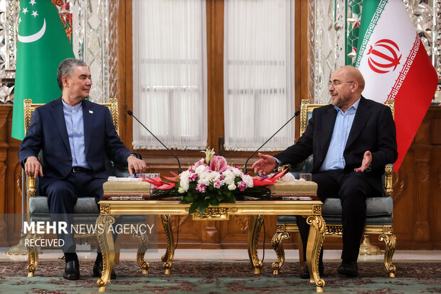 Iranian parl. speaker meets Turkmenistan's Berdimuhamedov
