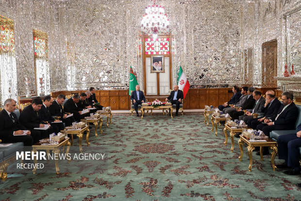 Iranian parl. speaker meets Turkmenistan's Berdimuhamedov
