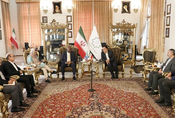 تبریز میتواند دربطن روابط بین ایران وآفریقای جنوبی ایفای نقش کند