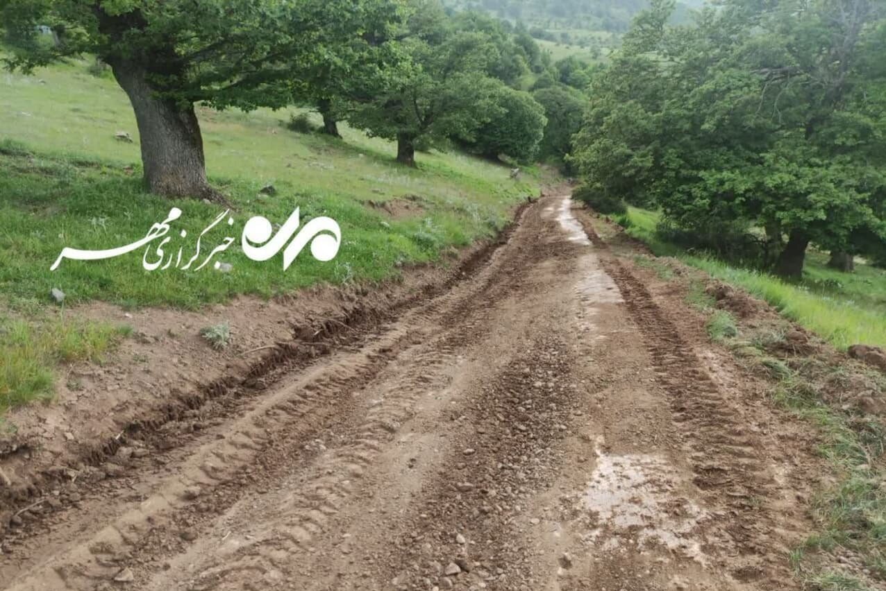 جنگل هیرکانی ابر شُخم خورد/ نابودی «قانونی» هکتارها اراضی طبیعی