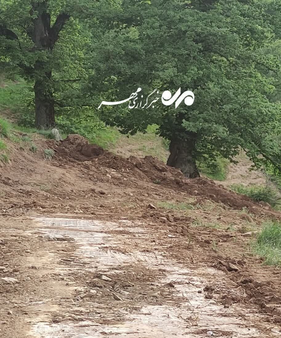 جنگل هیرکانی ابر شُخم خورد/ نابودی «قانونی» هکتارها اراضی طبیعی