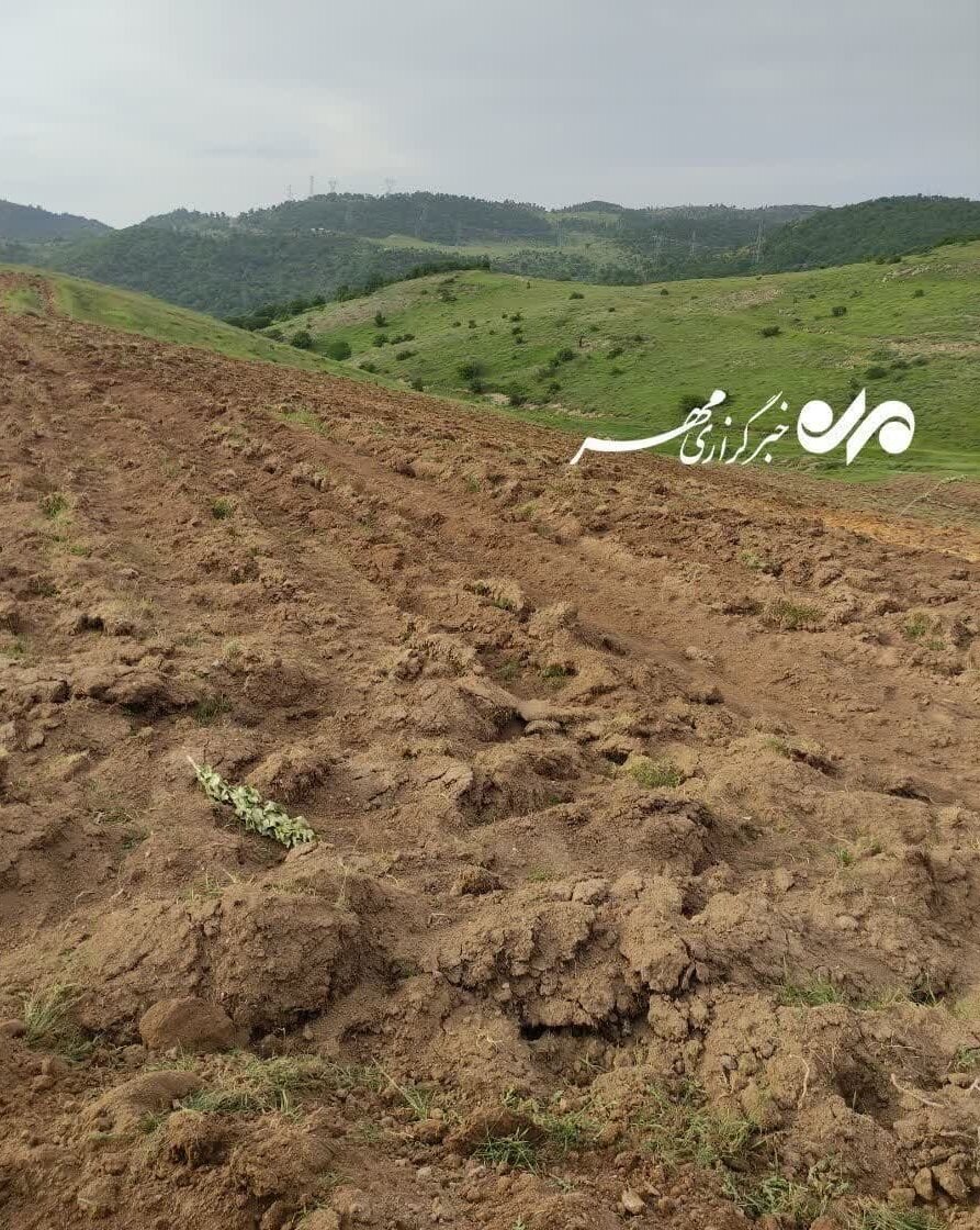 جنگل هیرکانی ابر شُخم خورد/ نابودی «قانونی» هکتارها اراضی طبیعی