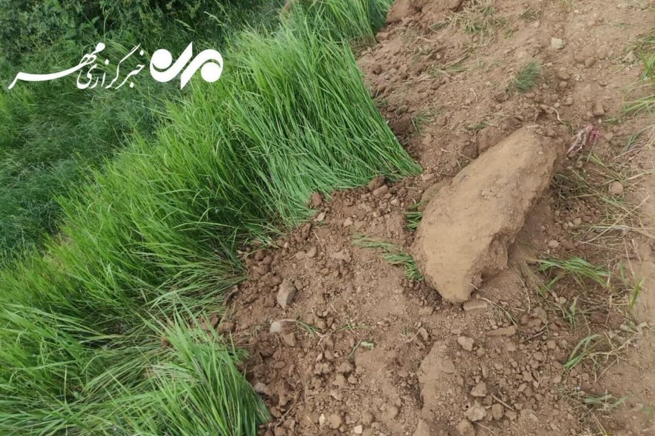 جنگل هیرکانی ابر شُخم خورد/ نابودی «قانونی» هکتارها اراضی طبیعی