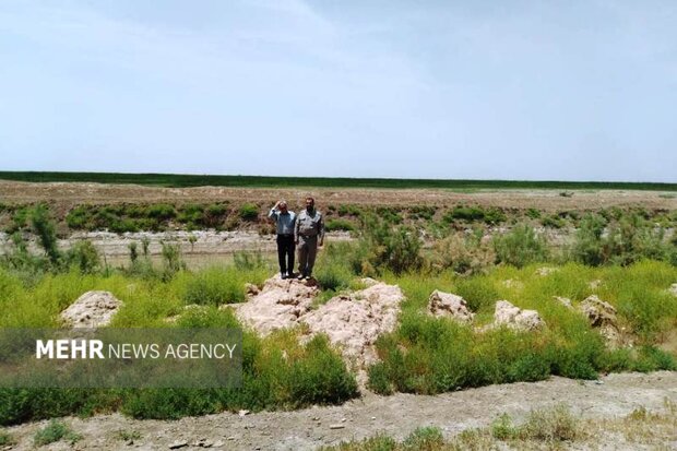 بامدژ عروس تالابهای خوزستان / لزوم رسیدگی فوری به تالاب