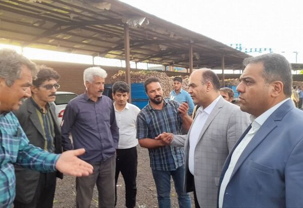 ضرورت استفاده از پتانسیلهای بالای بازار سیر «تیمورلو»