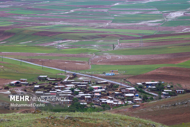 خسارت سیل به مزارع و محصولات کشاورزی شهرستان گرمی