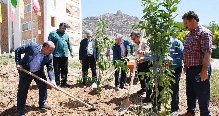 باغ مرکبات در سایت مرکزی دانشگاه لرستان احداث میشود