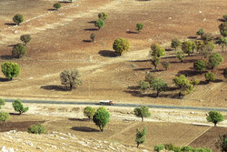 آبرسانی با تانکر در سرزمین چشمه‌ها