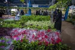 تولید ۳۰ میلیون گلدان انواع گل و گیاهان زینتی در گلستان