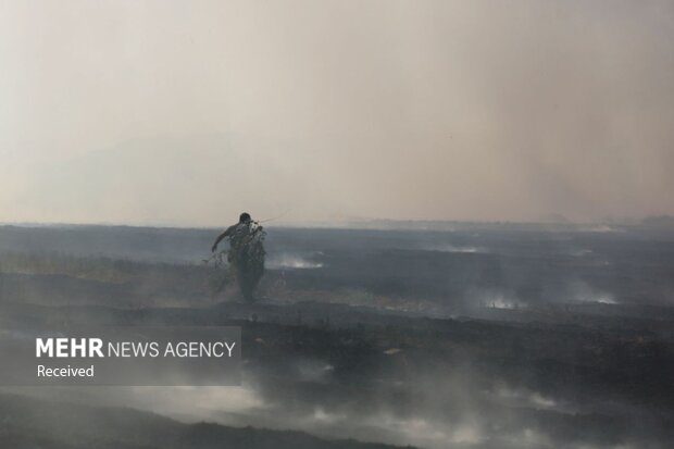 آتش سوزی در اراضی کشاورزی دره شهر
