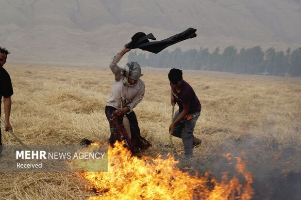 آتش سوزی در اراضی کشاورزی دره شهر