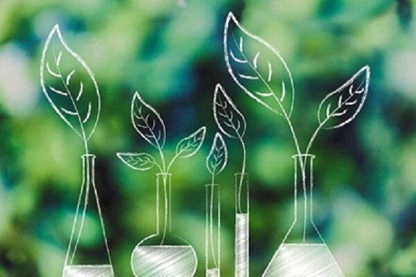 امکان ارسال پیشنهاده همه رشتهها در فراخوان جدید پسادکتری
