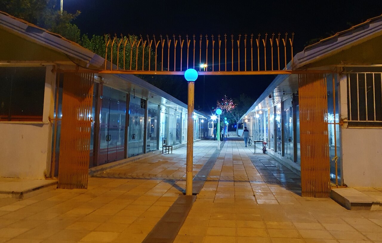 بازارچه گلپایگان برای معرفی شهر ملی منبت کافی نیست + فیلم 6