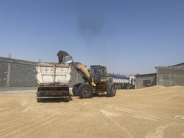خرید گندم در شهرستان‌های جنوبی لرستان آغاز شده است