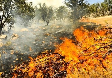 آتشسوزی در مناطق بوزین و مرخیل پاوه/اطفای کامل حریق تا ساعت آینده