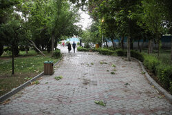 هشدار هواشناسی برای تهران؛ وزش باد شدید و رگبار در راه است