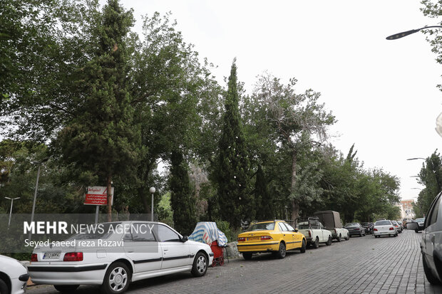 Wind storm in Tehran