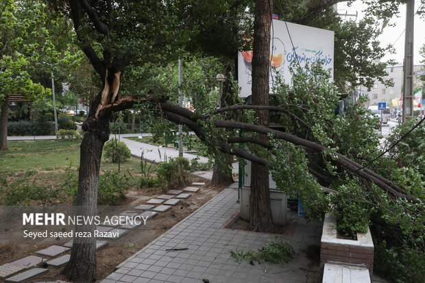 در پی باد و طوفان بعدازظهر امروز پنج شنبه ۱۸ خرداد ماه ۱۴۰۲ و وزش شدید باد در تهران خساراتی را به درختان، تابلوهای تبلیغاتی و ترافیک در بزرگراه‌ها در پایتخت وارد شد