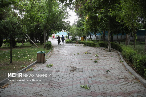 پیش بینی افزایش شدت وزش باد در خراسان رضوی پیش بینی افزایش شدت وزش باد در خراسان رضوی