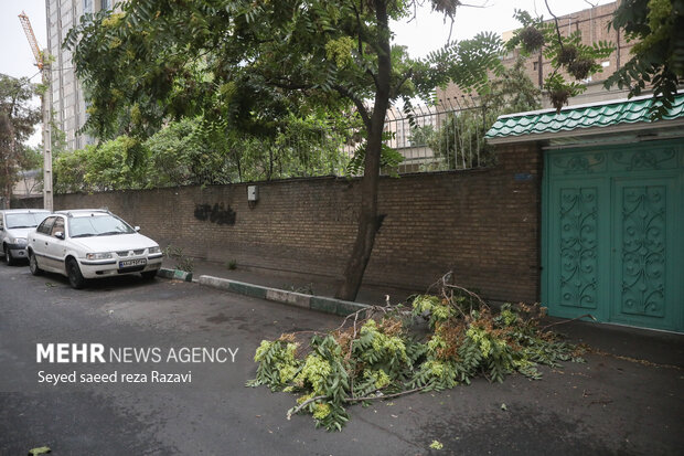 در پی باد و طوفان بعدازظهر امروز پنج شنبه ۱۸ خرداد ماه ۱۴۰۲ و وزش شدید باد در تهران خساراتی را به درختان، تابلوهای تبلیغاتی و ترافیک در بزرگراه‌ها در پایتخت وارد شد