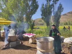 دومین جشنواره گلاب‌گیری کردستان