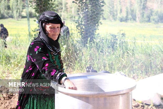 دومین جشنواره گلاب گیری کردستان