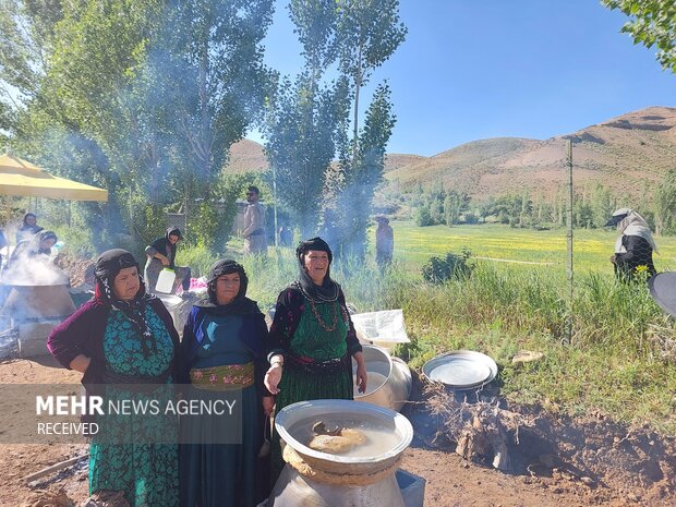برگزاری دومین جشنواره گلاب گیری کردستان 