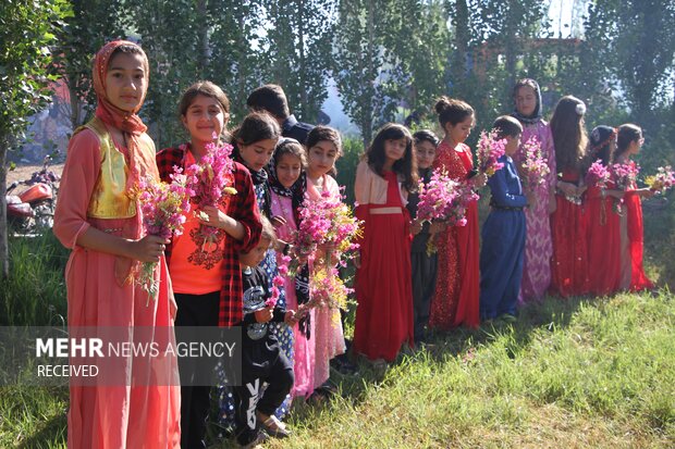 دومین جشنواره گلاب گیری کردستان