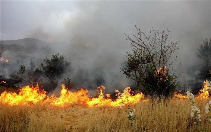 خسارت ۲۴ میلیارد ریالی آتش‌سوزی به مزارع گندم و جو خرم‌آباد